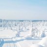 summer_snow