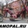 samopal ru