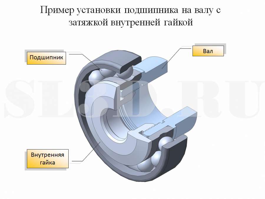 в внутренней гай.jpg